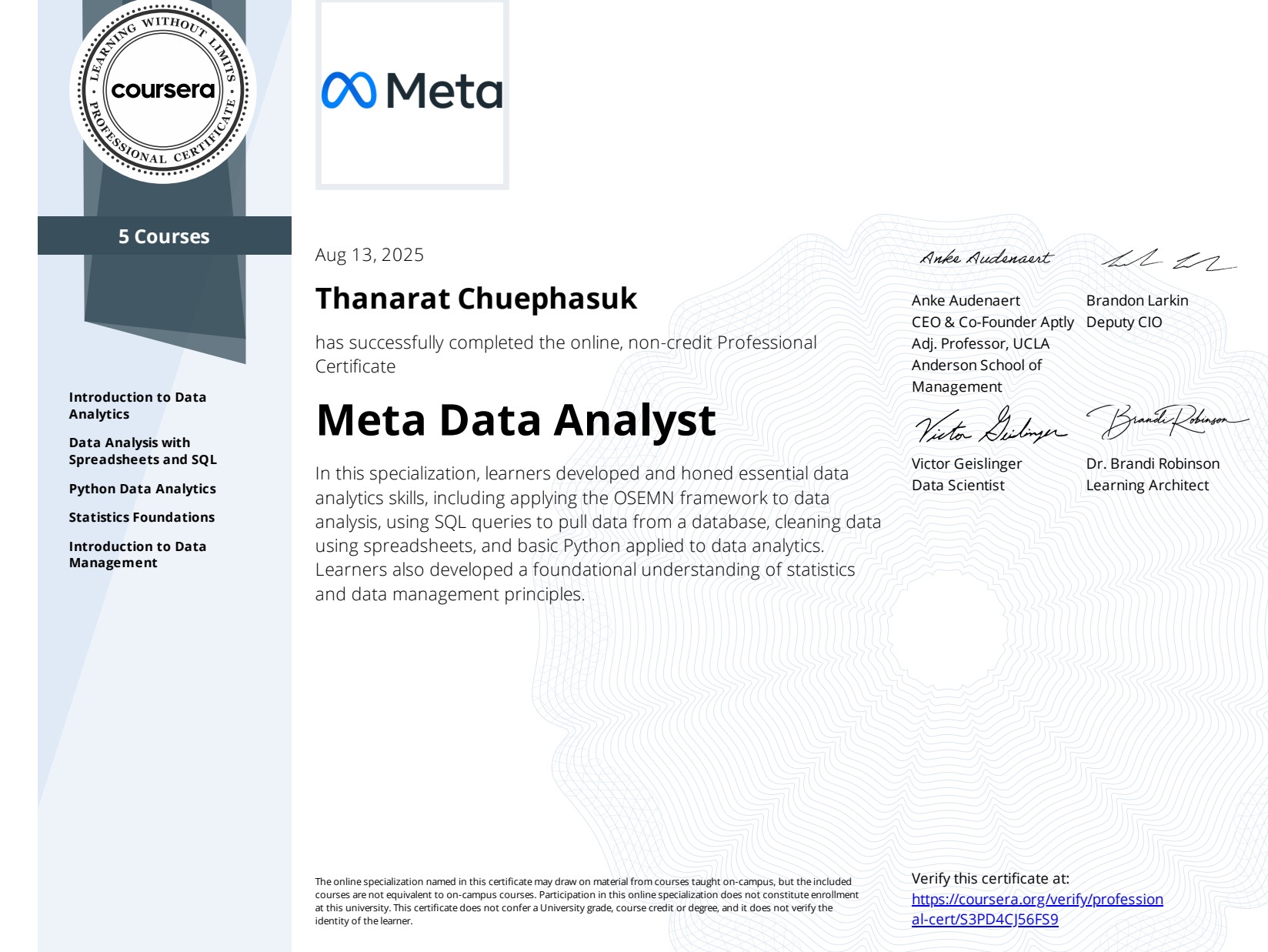 Meta Data Analyst